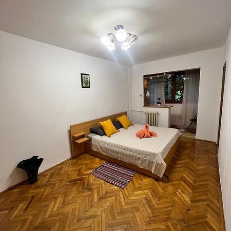 Miha Modern And Central Apartament Malul Muresului อาราด ภายนอก รูปภาพ