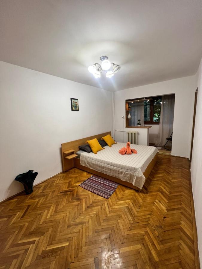 Miha Modern And Central Apartament Malul Muresului อาราด ภายนอก รูปภาพ