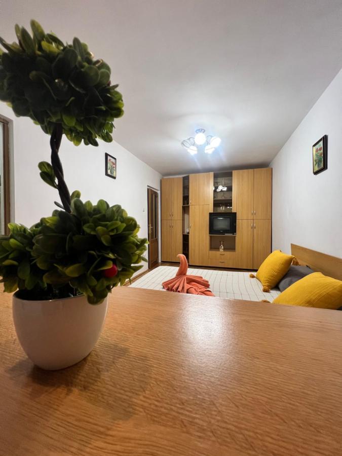 Miha Modern And Central Apartament Malul Muresului อาราด ภายนอก รูปภาพ