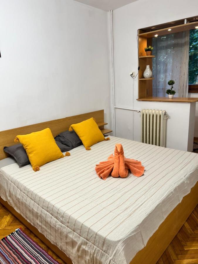Miha Modern And Central Apartament Malul Muresului อาราด ภายนอก รูปภาพ