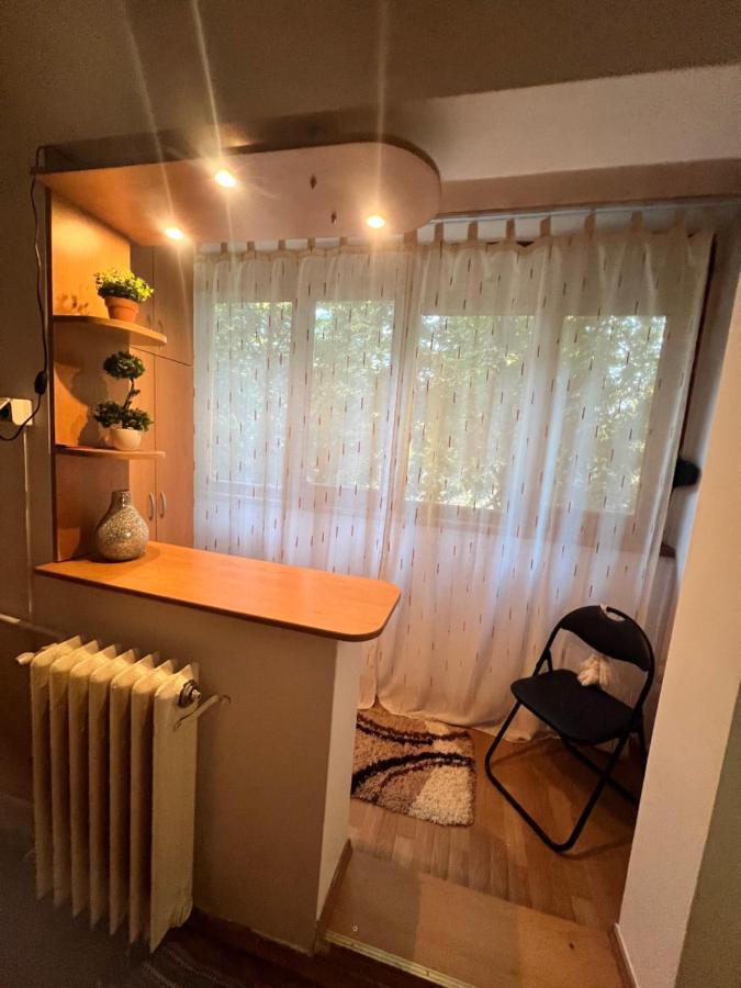 Miha Modern And Central Apartament Malul Muresului อาราด ภายนอก รูปภาพ
