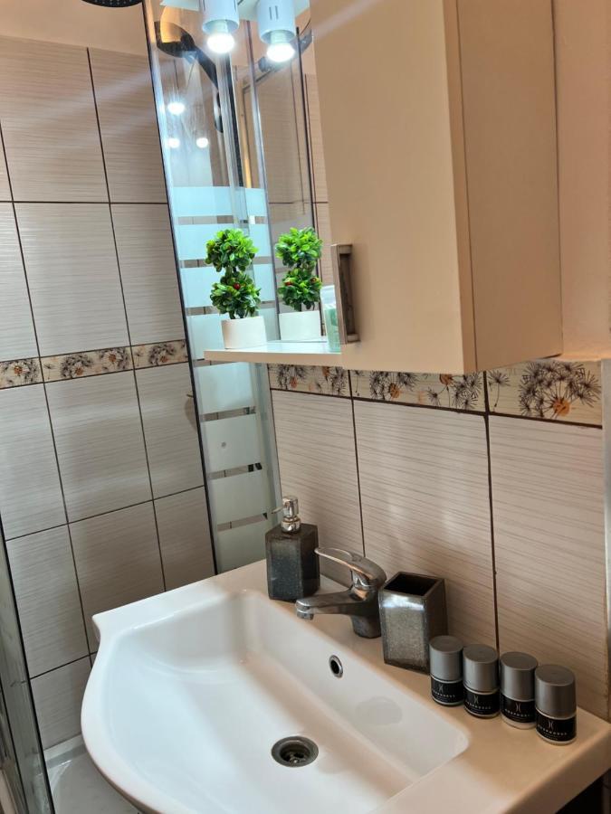 Miha Modern And Central Apartament Malul Muresului อาราด ภายนอก รูปภาพ