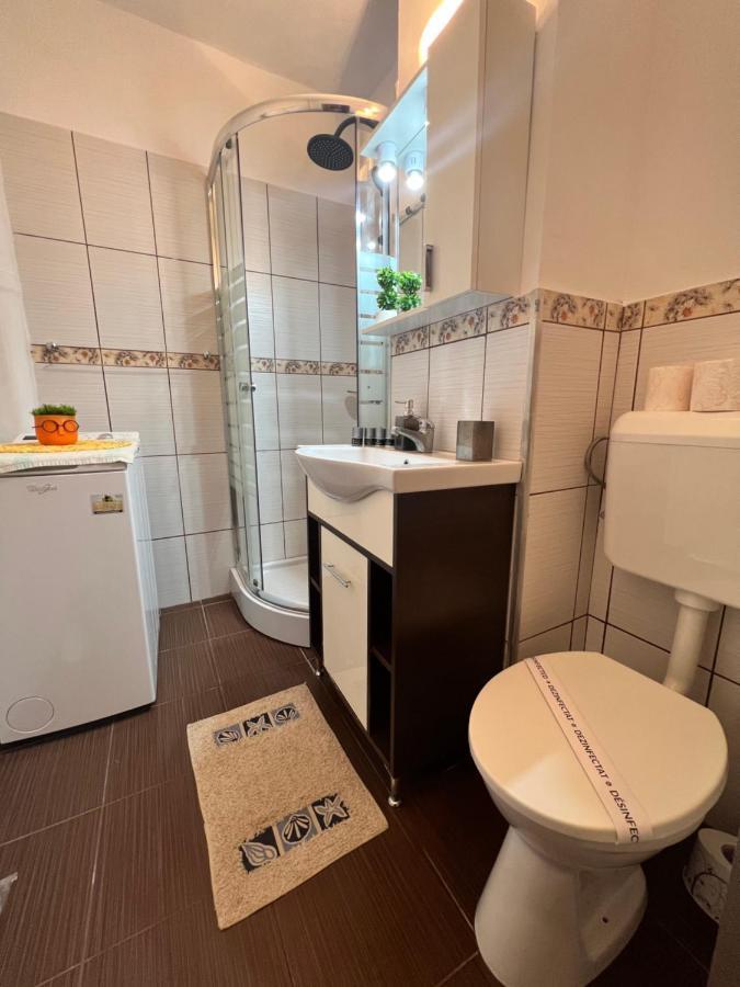Miha Modern And Central Apartament Malul Muresului อาราด ภายนอก รูปภาพ